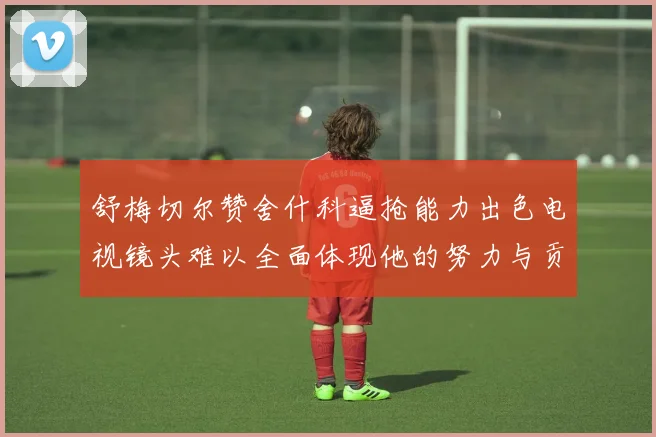舒梅切尔赞舍什科逼抢能力出色电视镜头难以全面体现他的努力与贡献