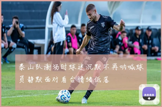 泰山队谢场时球迷沉默不再呐喊球员静默面对看台情绪低落